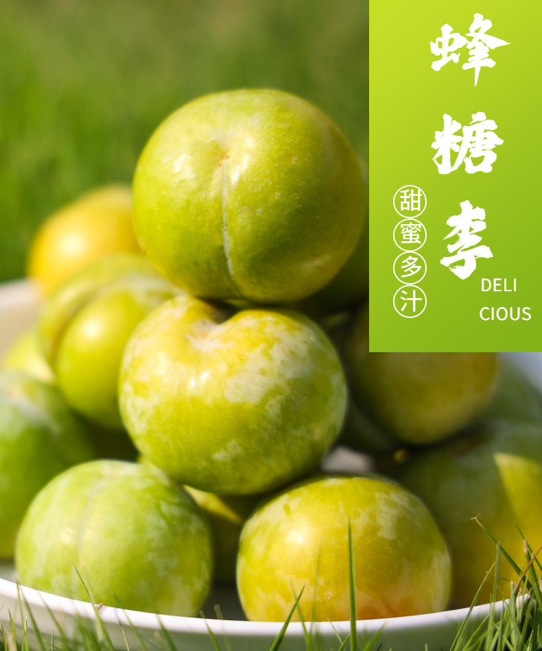 蜂糖李